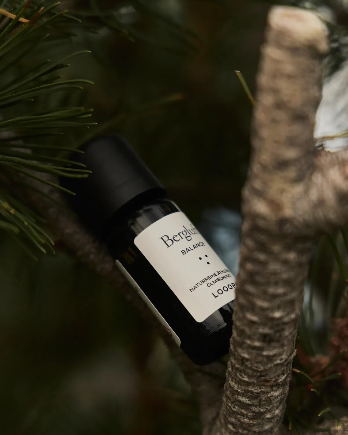 Bergluft – Essential oil