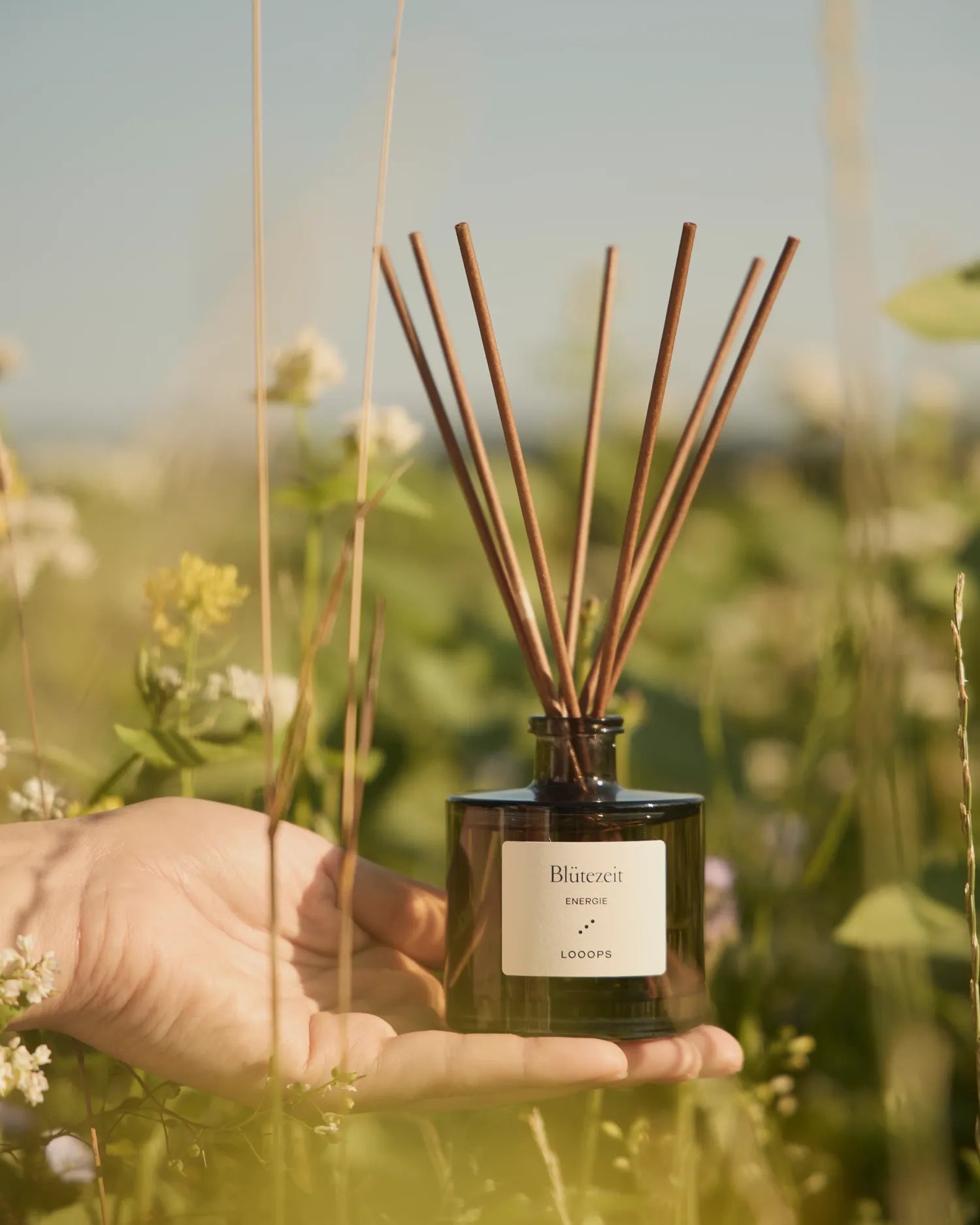 Blütezeit set - Reed diffuser and refill