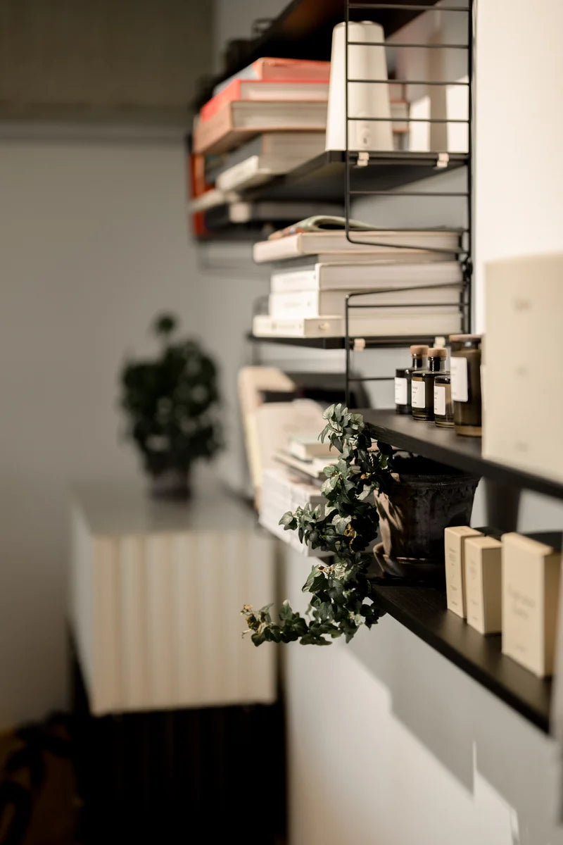 Wandregale mit Pflanze, Bücher, Kerzen