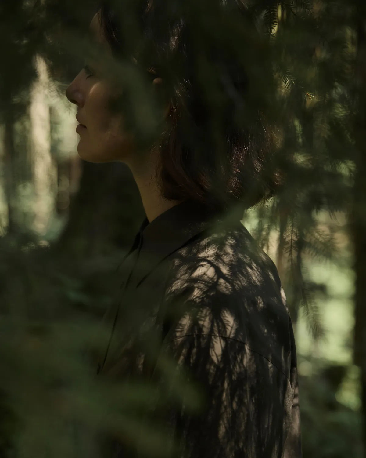 Immergrün Set – Duftstäbchen und Refill