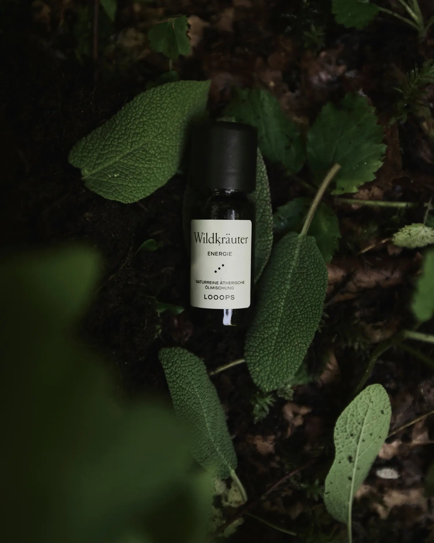 Wildkräuter – Essential oil
