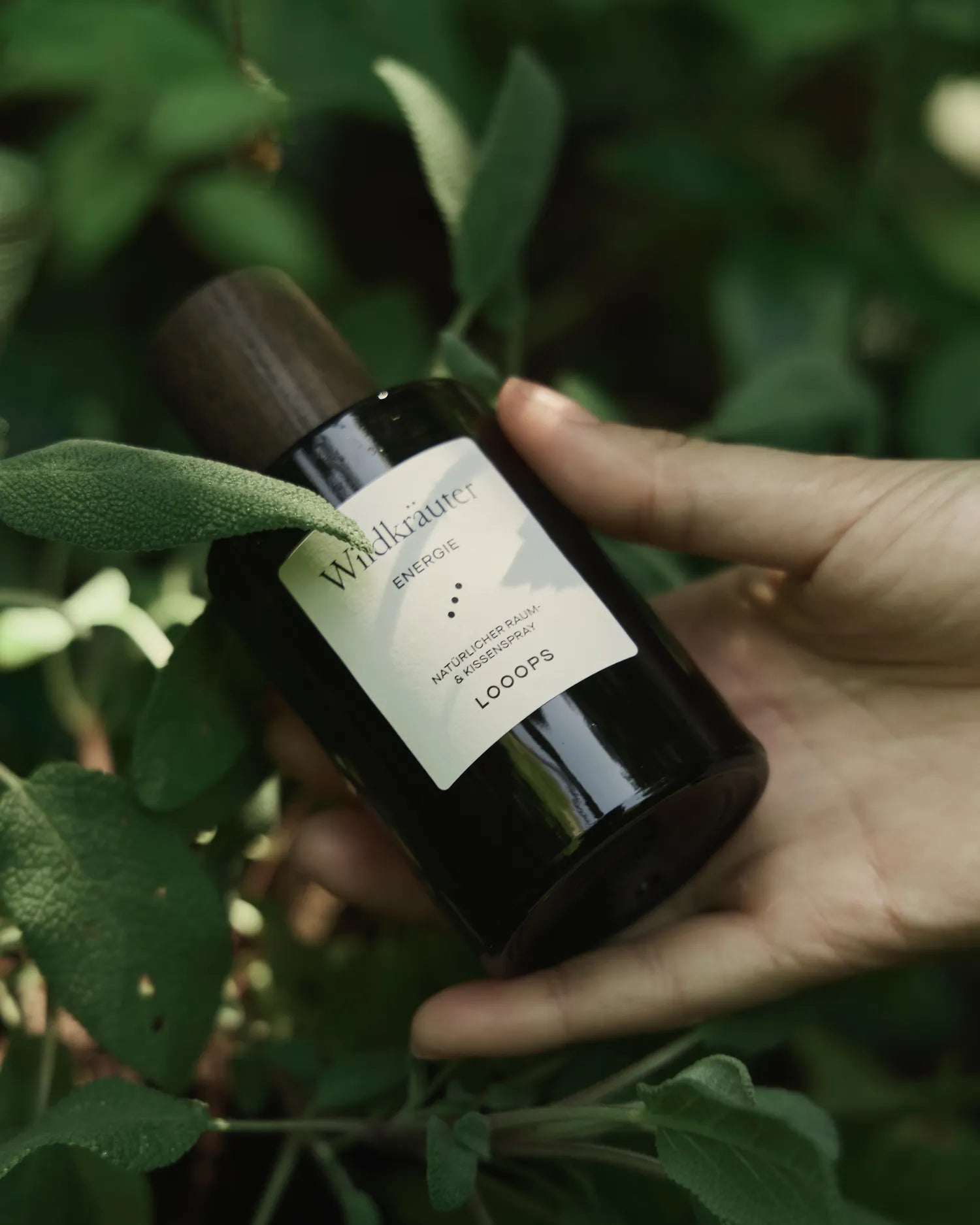 Wildkräuter – Large room spray