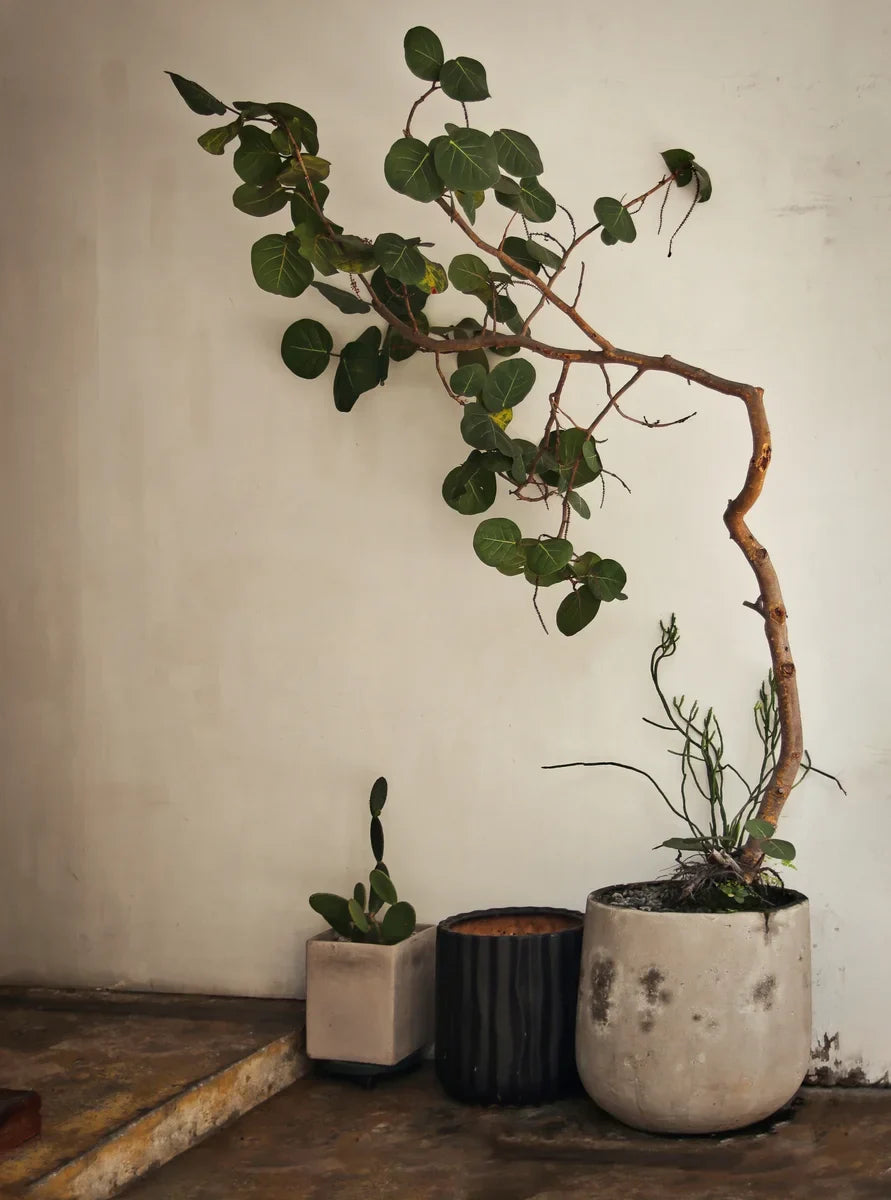Blog - Test 2