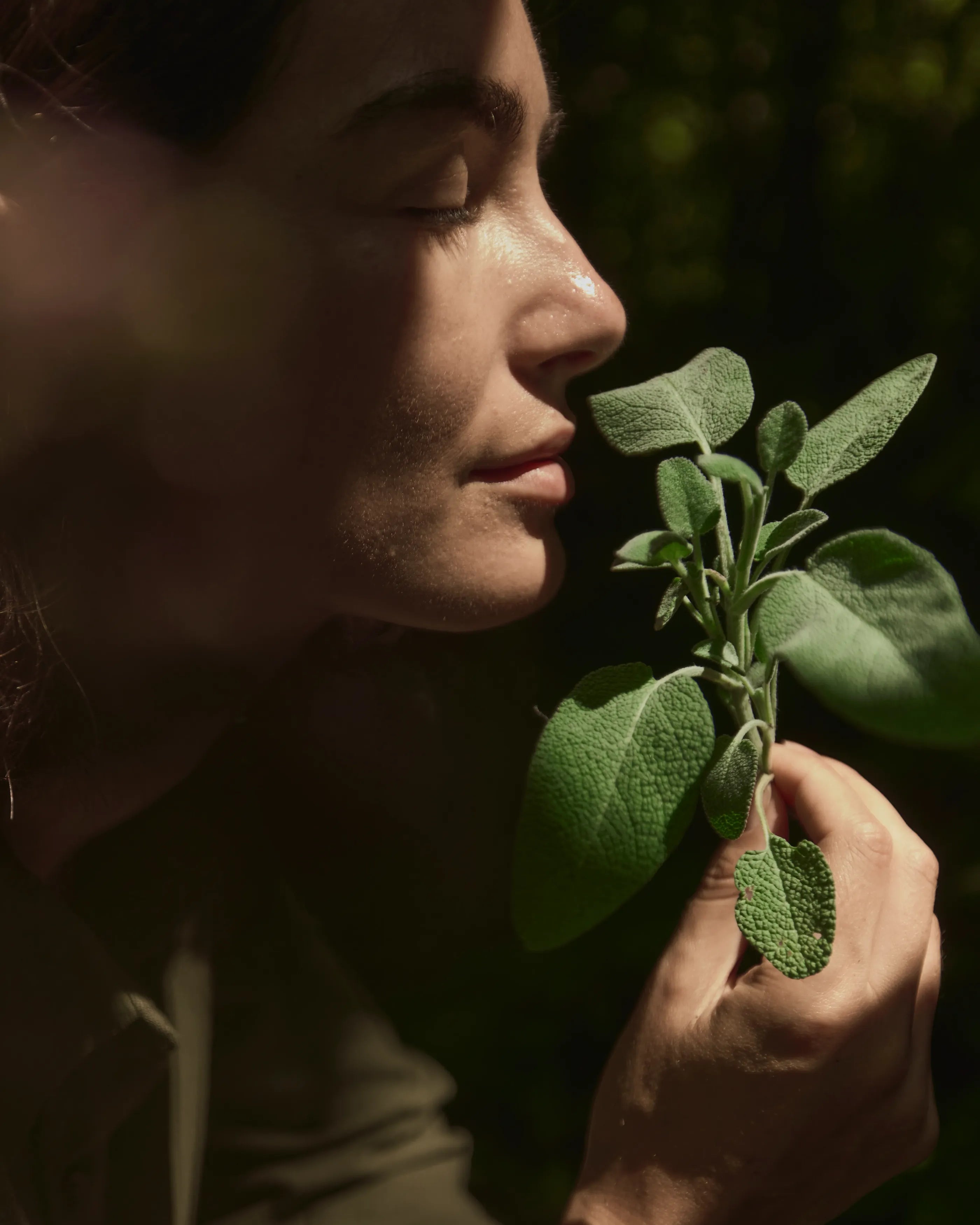 What are essential oils?