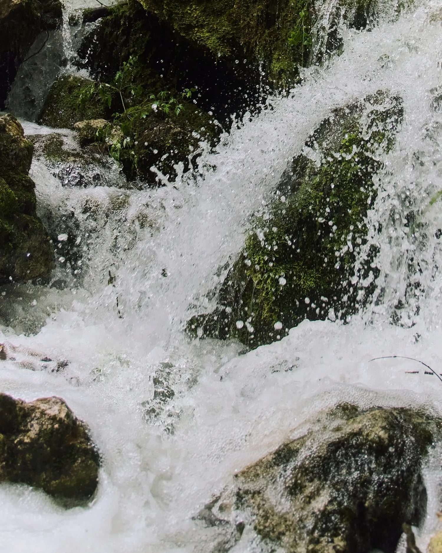 Gebirgsbach  scent products