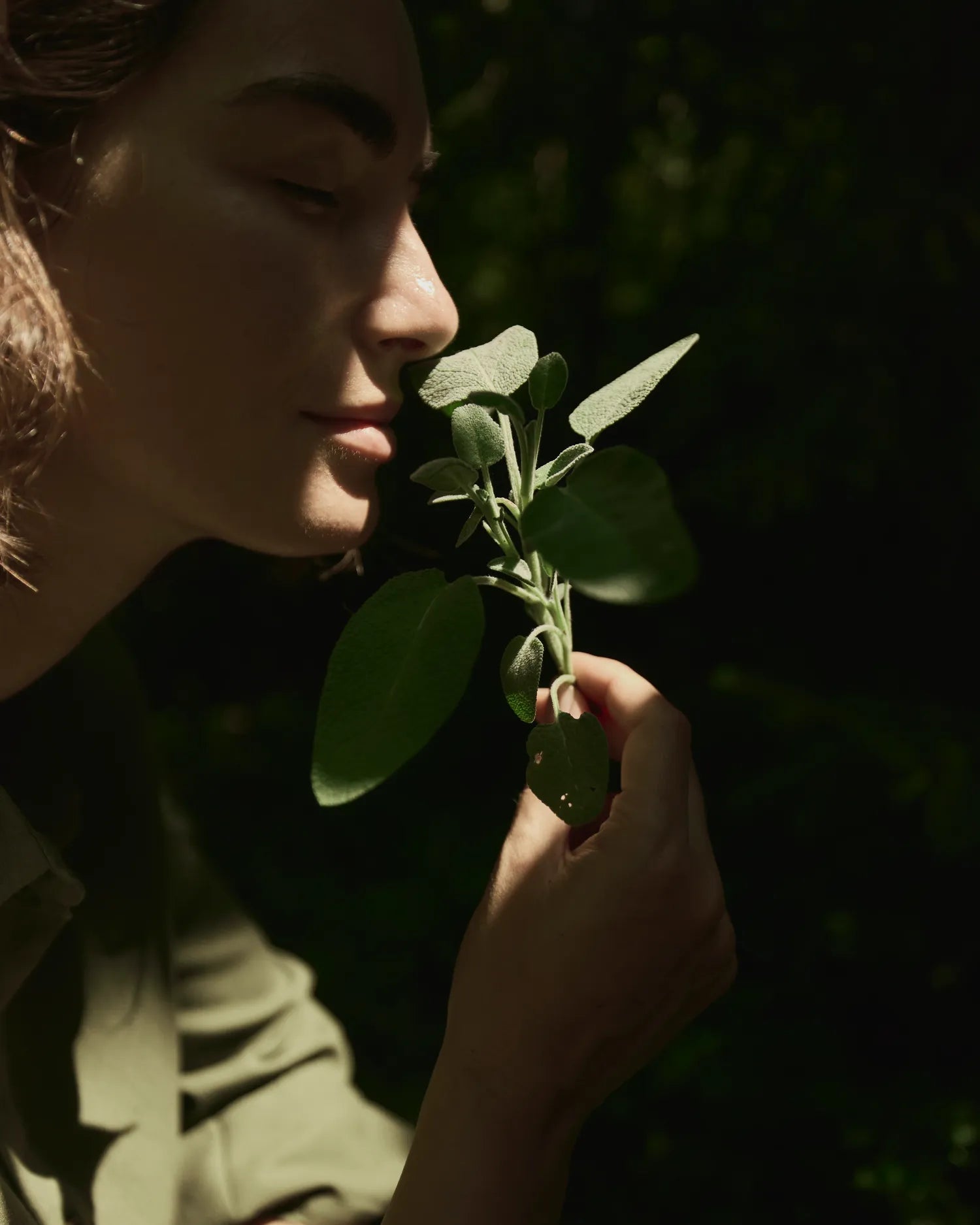 Wildkräuter  scent products