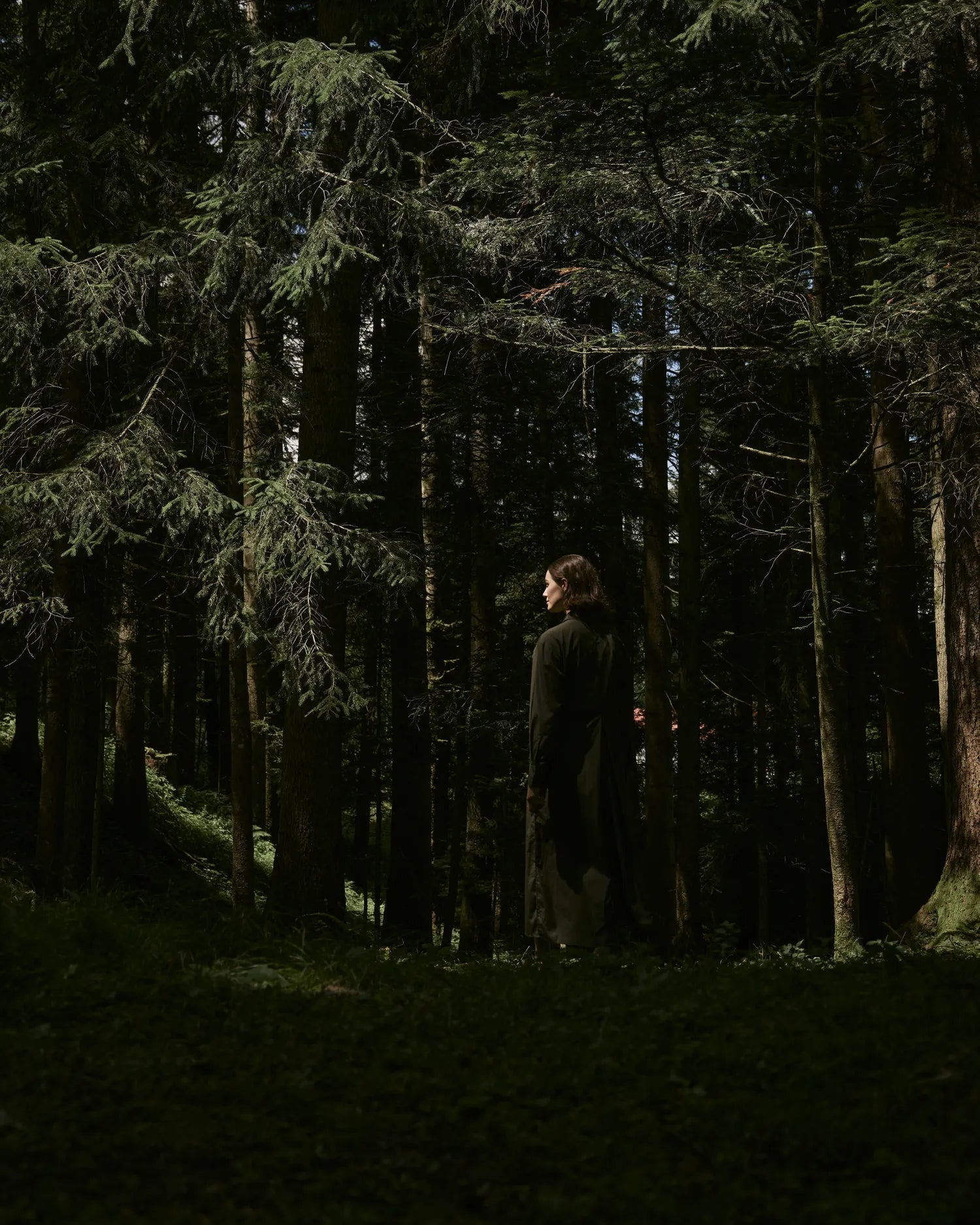 Immergrün  scent products