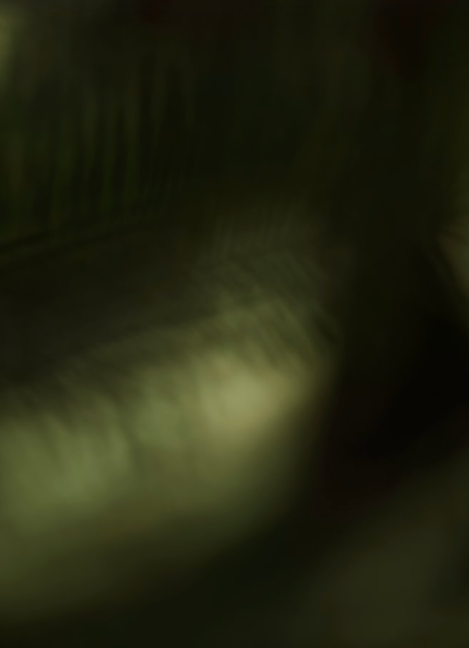 Effect – Grounding