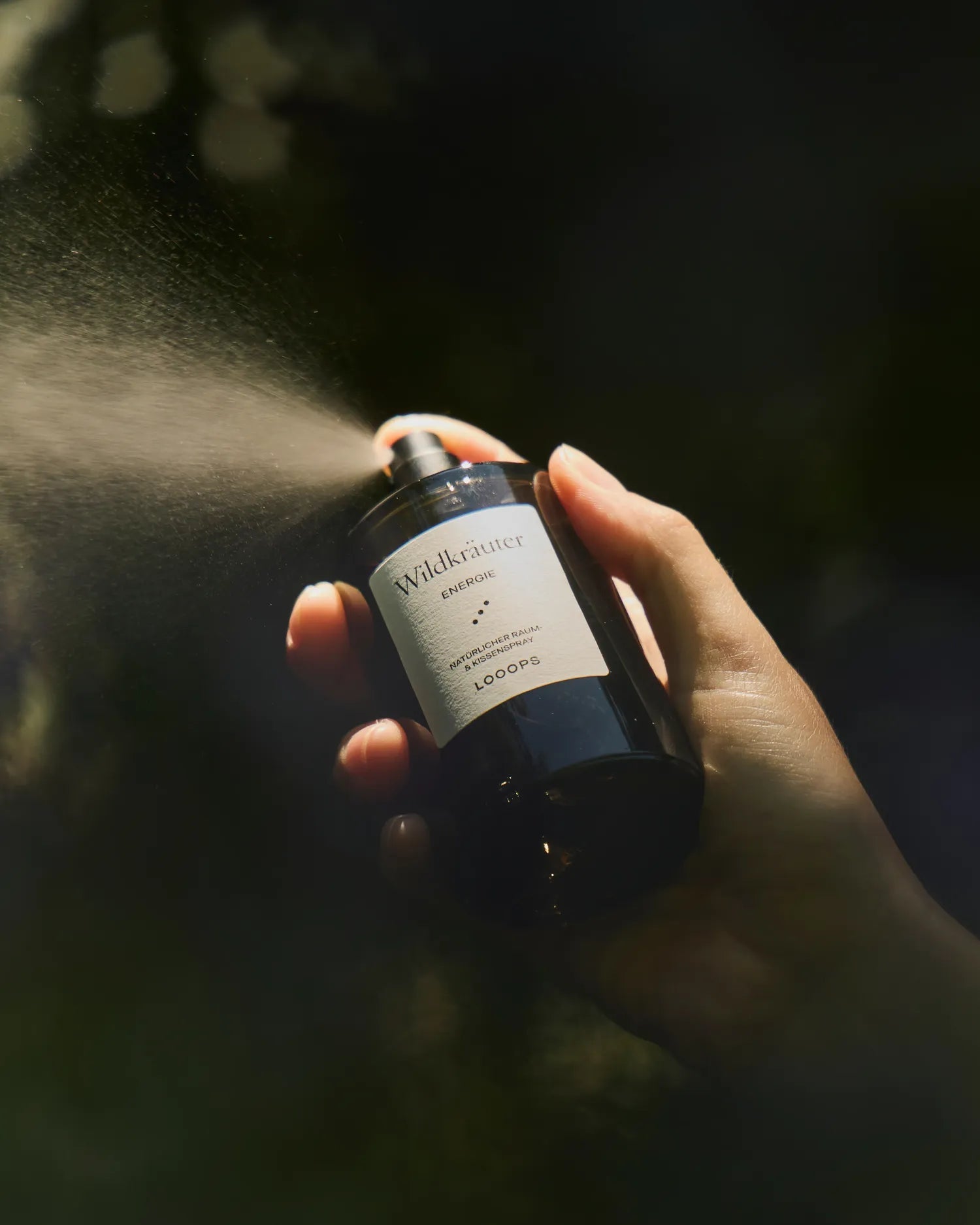 Popular home fragrance