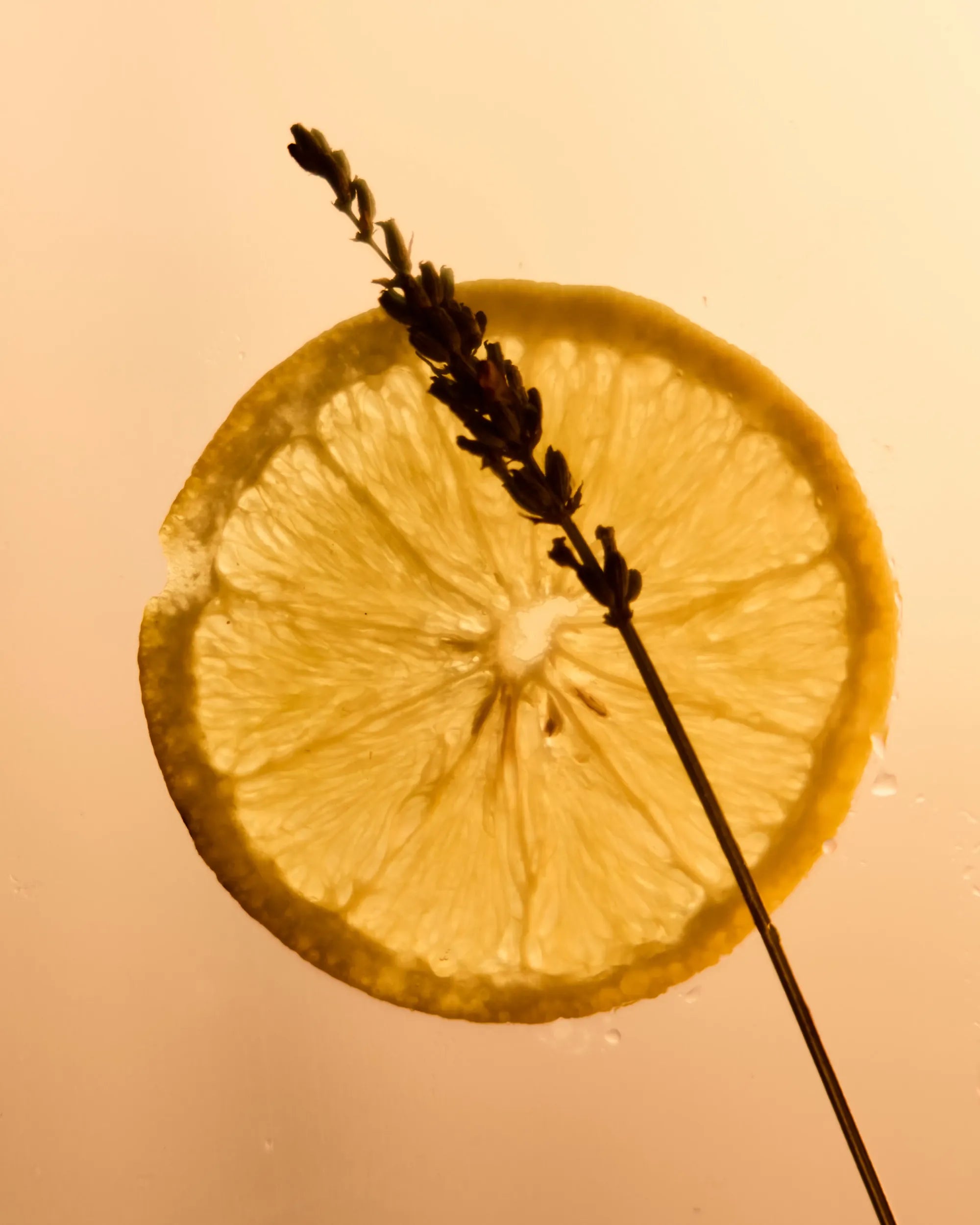 Morgensonne – Duftprobe