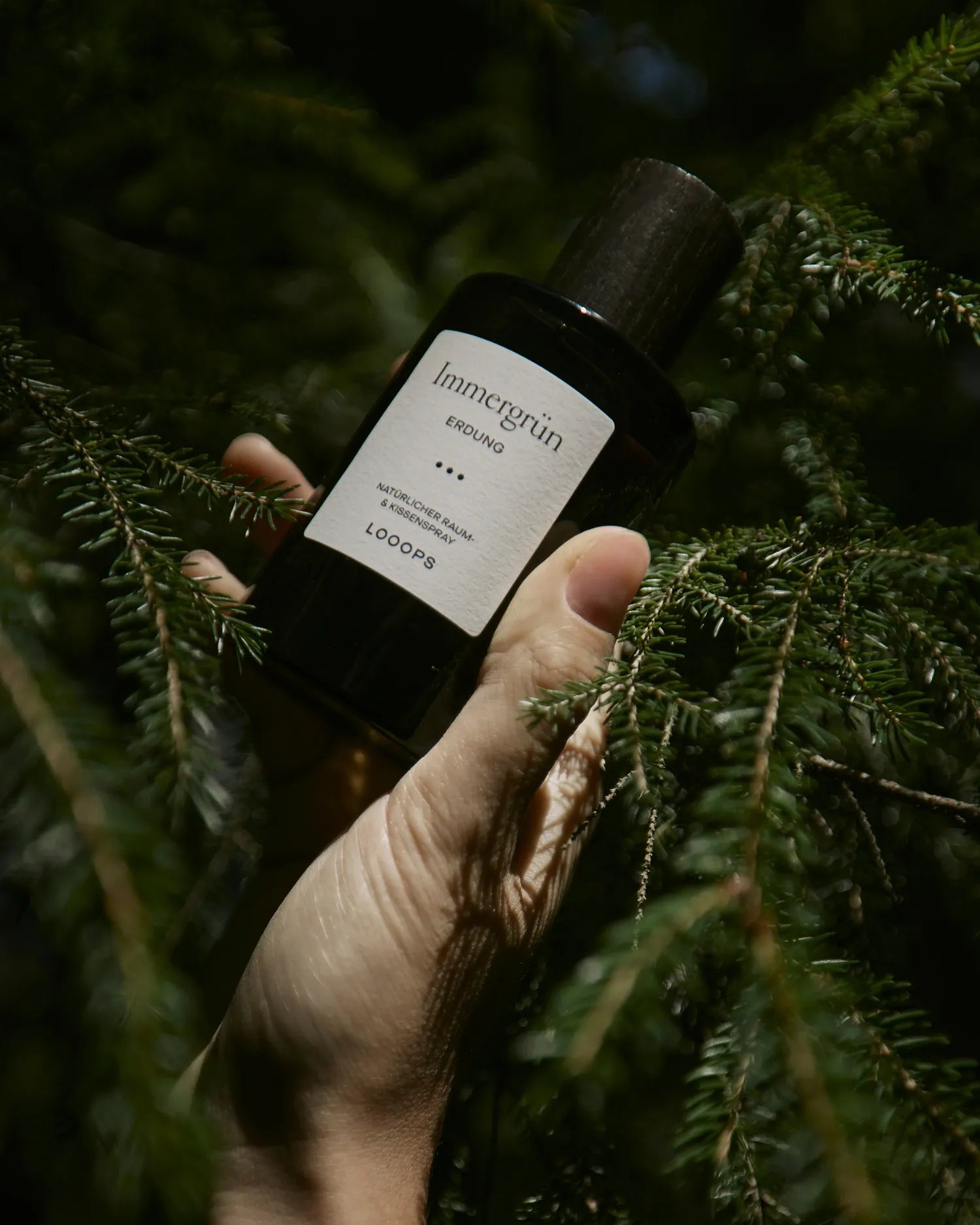 Immergrün – Large room spray