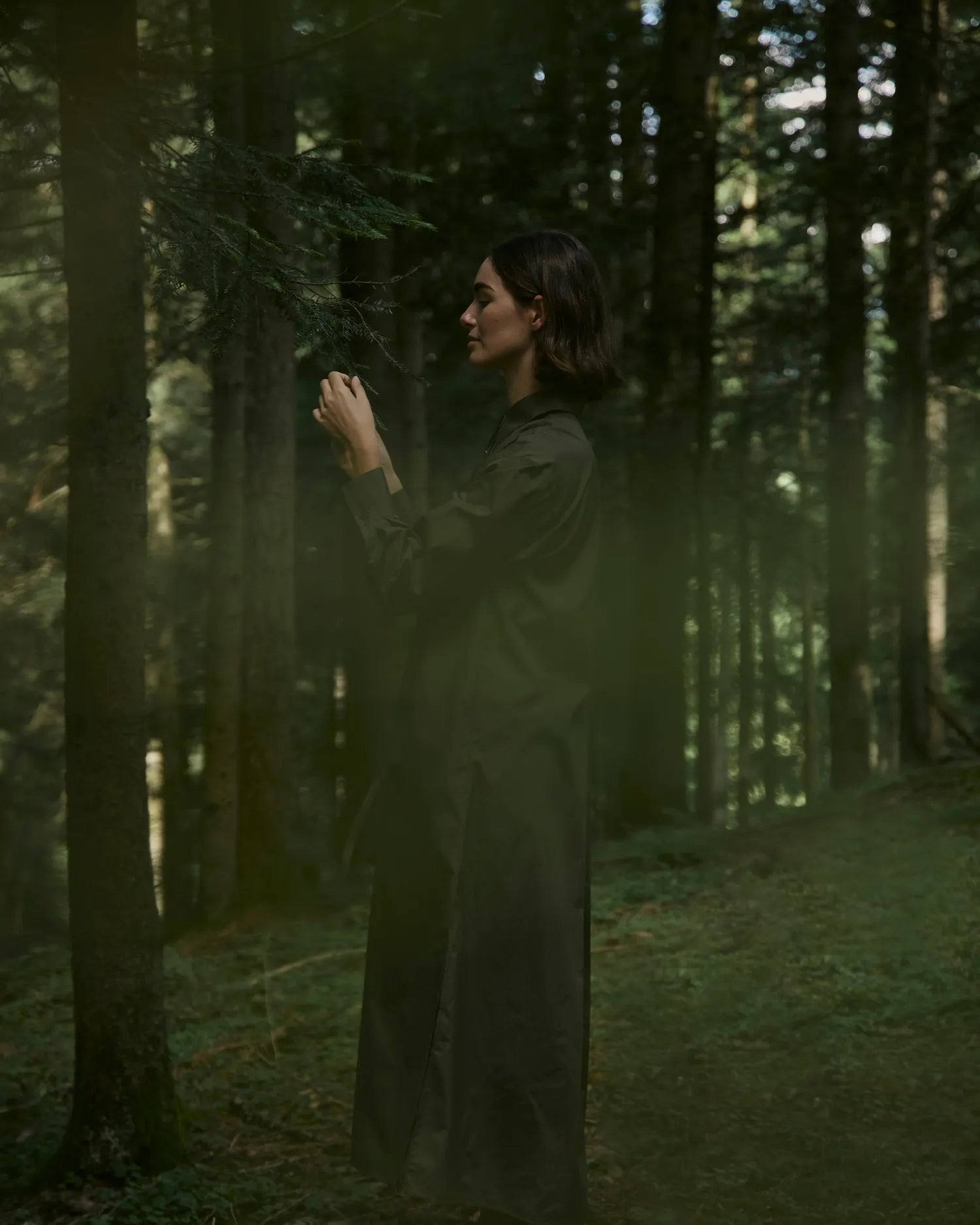 Immergrün – Ätherisches Öl