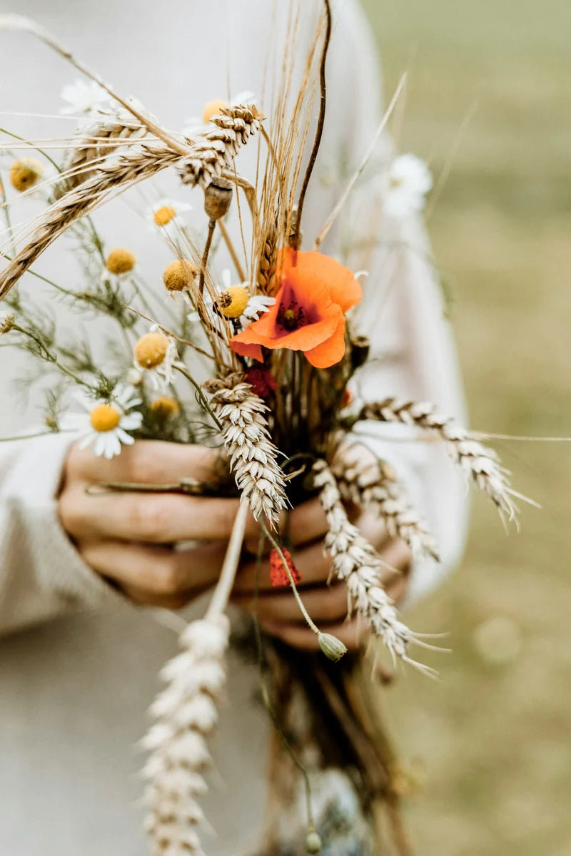 Sommerlicher Blumenstrauß wird in Hand gehalten