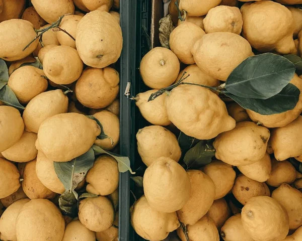 Lemon harvest.