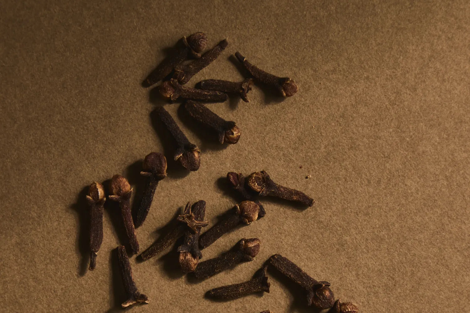Cinnamon sticks as an ingredient for " Winterzeit " by Looops, still life